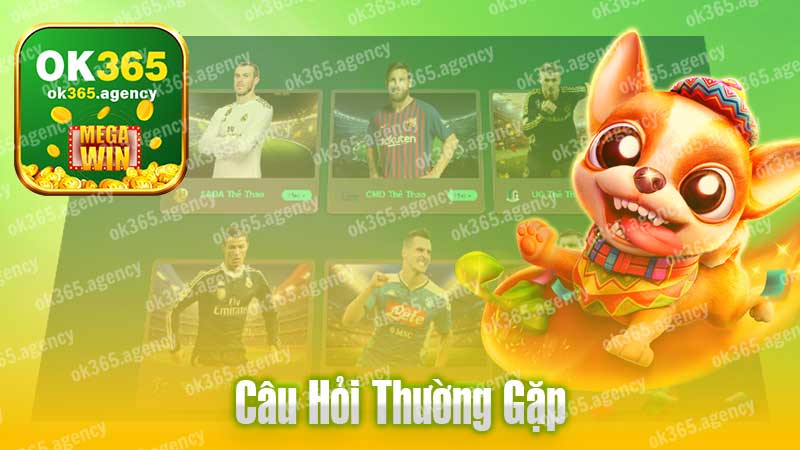 Các câu hỏi thường gặp tại khu vực thể thao của nhà cái Ok365.